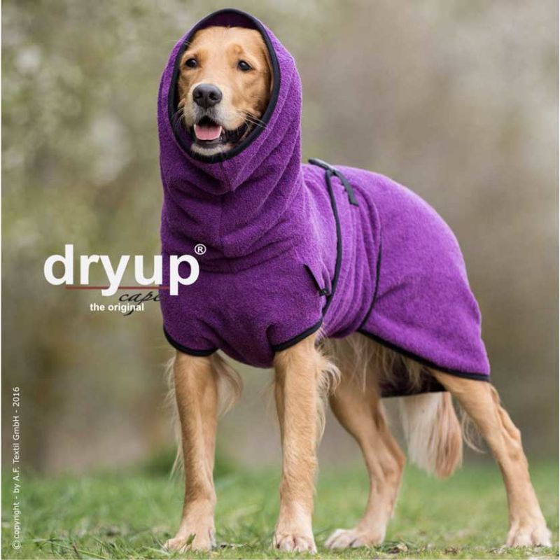 Dryup Cape Hundebademantel Standard in verschieden Farben und Größen bilberry S - 56 cm von actionfactory