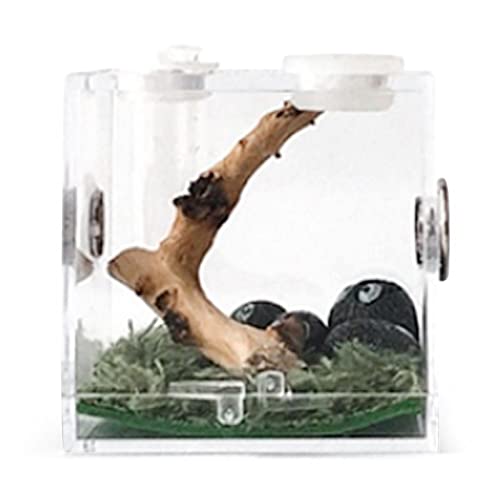 adawd Insekten Futterbox, Acryl Transparent Reptil Habitat Case, für Spinne Eidechse Geckos Schnecken Käfer, Tragbare Kriechende Haustier Reptilien Aufzuchtboxen, Insektensichtbox von adawd