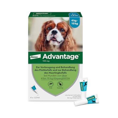 Elanco Advantage Spot-On 100 für kleine Hunde von 4 bis 10 kg Körpergewicht, schnelle Bekämpfung von Flöhen und Schutz vor Flohbefall für bis zu 4 Wochen, 4 Pipetten mit 1,0 ml Lösung Elanco Advantage Spot-On 100 für kleine Hunde von 4 bis 10 kg Körpergewicht, schnelle Bekämpfung von Flöhen und Schutz vor Flohbefall für bis zu 4 Wochen, 4 Pipetten mit 1,0 ml Lösung von Advantage