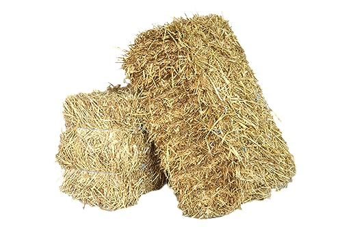 agrar-store 20Kg Stroh Strohballen Gerstenstroh direkt ab Hof Einstreu Futter Meerschweinchenstroh Hasenstroh agrar-store 20Kg Stroh Strohballen Gerstenstroh direkt ab Hof Einstreu Futter Meerschweinchenstroh Hasenstroh von agrar-store