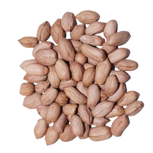 Agrarshop Erdnuss Light Skin 25 kg Vogelfutter Wintervogelfutter Meisen Agrarshop Erdnuss Light Skin 25 kg Vogelfutter Wintervogelfutter Meisen von agrarshop