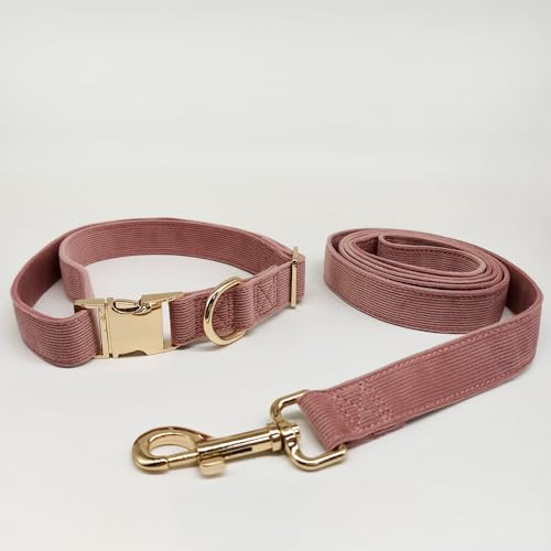 aicanis | Hundehalsband und Leine im Set | Elegante Geschenkbox mit Motiv-Karte | Aus Kord mit Goldener Schnalle | Rosa | Größe L von aicanis