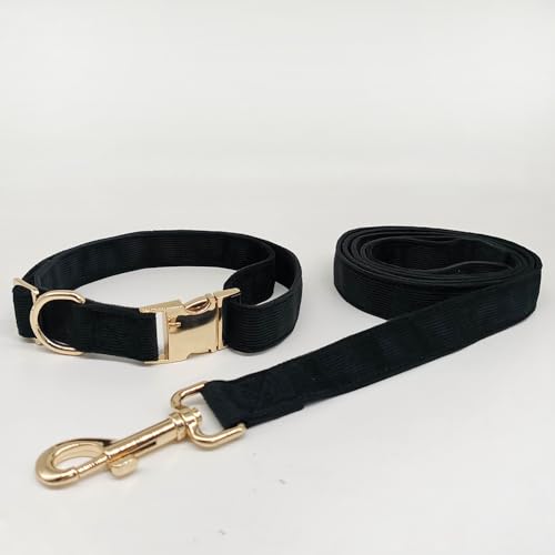 aicanis | Hundehalsband und Leine im Set | Elegante Geschenkbox mit Motiv-Karte | Aus Kord mit Goldener Schnalle | Schwarz | Größe L von aicanis