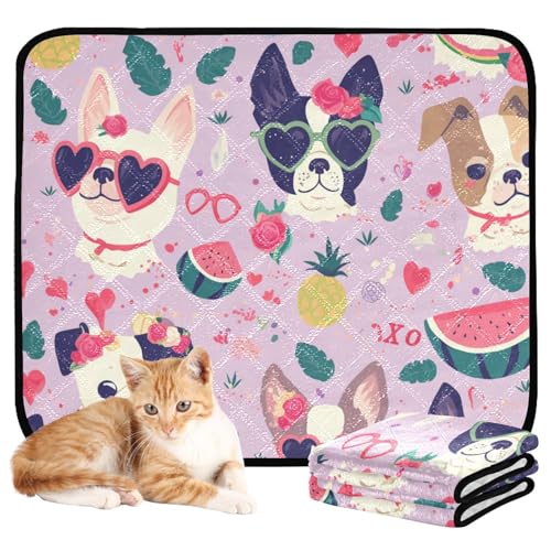 3 Stück Hunde-Uriniertablett für den Innenbereich, wiederverwendbare Urinierunterlagen, rutschfeste Matte für Flugzeugkäfige, 50,8 x 61 cm, schöne süße Hunde, Valentinstag 3 Stück Hunde-Uriniertablett für den Innenbereich, wiederverwendbare Urinierunterlagen, rutschfeste Matte für Flugzeugkäfige, 50,8 x 61 cm, schöne süße Hunde, Valentinstag von aidingzhi