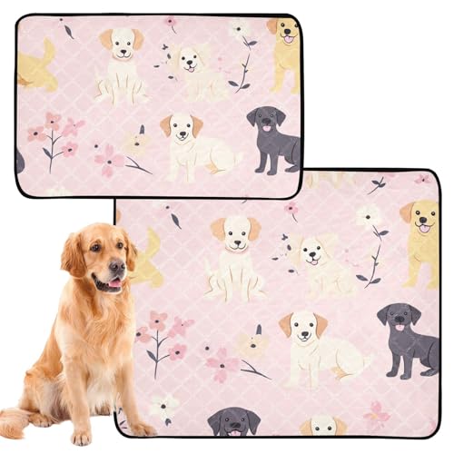 Hunde-Teppich, waschbar, rutschfest, für den Innenbereich, 61 x 91,4 cm + 91,4 x 106,7 cm, Blumen, einfache Hunde, pfirsichfarben, 2 Stück Hunde-Teppich, waschbar, rutschfest, für den Innenbereich, 61 x 91,4 cm + 91,4 x 106,7 cm, Blumen, einfache Hunde, pfirsichfarben, 2 Stück von aidingzhi