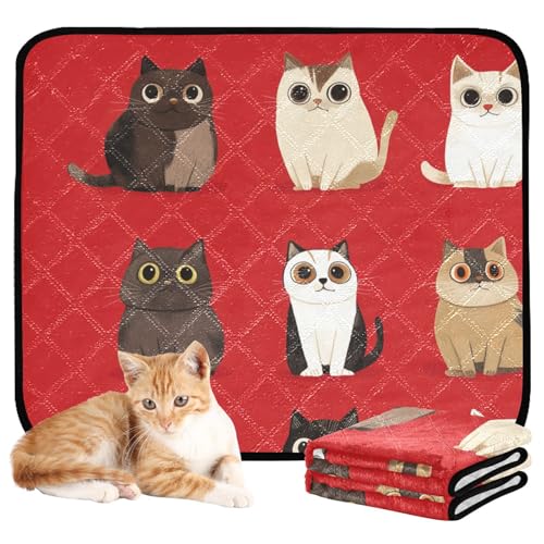 Hundematte, waschbar, rutschfest, 50,8 x 61 cm, niedlich, exotische Kurzhaar, Rot, 3 Stück Hundematte, waschbar, rutschfest, 50,8 x 61 cm, niedlich, exotische Kurzhaar, Rot, 3 Stück von aidingzhi