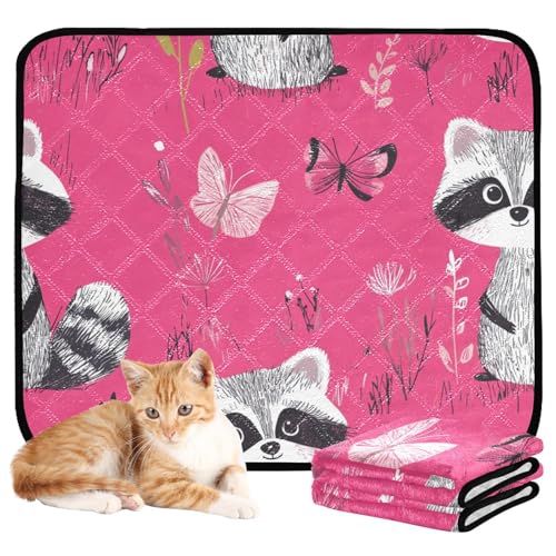 Hundematte, waschbar, rutschfest, für Flugzeugkäfige, 50,8 x 61 cm, schicker Waschbär, Hot Pfirsich, 3 Stück Hundematte, waschbar, rutschfest, für Flugzeugkäfige, 50,8 x 61 cm, schicker Waschbär, Hot Pfirsich, 3 Stück von aidingzhi