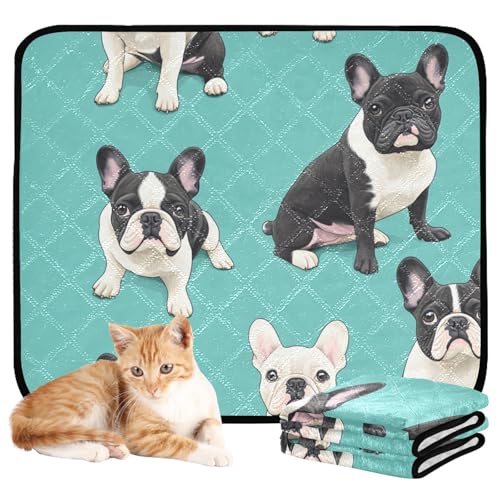 Hundematte für Hunde, schmutzige Füße, waschbar, rutschfest, für Rasen, 50,8 x 61 cm, Cartoon, süße französische Bulldogge, Türkis, 3 Stück Hundematte für Hunde, schmutzige Füße, waschbar, rutschfest, für Rasen, 50,8 x 61 cm, Cartoon, süße französische Bulldogge, Türkis, 3 Stück von aidingzhi