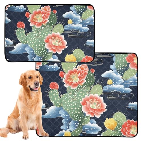 Hundematte für Hunde, waschbar, rutschfest, 61 x 91,4 cm + 91,4 x 106,7 cm, Kaktus, Sommer, Schwarz/Grün, 2 Stück Hundematte für Hunde, waschbar, rutschfest, 61 x 91,4 cm + 91,4 x 106,7 cm, Kaktus, Sommer, Schwarz/Grün, 2 Stück von aidingzhi