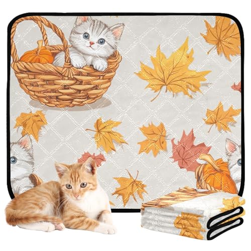 Hundematte für Hunde, waschbar, rutschfest, Bodenmatte für Strand, 50,8 x 61 cm, niedliches Cartoon-Ahorn-Katzen, 3 Stück Hundematte für Hunde, waschbar, rutschfest, Bodenmatte für Strand, 50,8 x 61 cm, niedliches Cartoon-Ahorn-Katzen, 3 Stück von aidingzhi