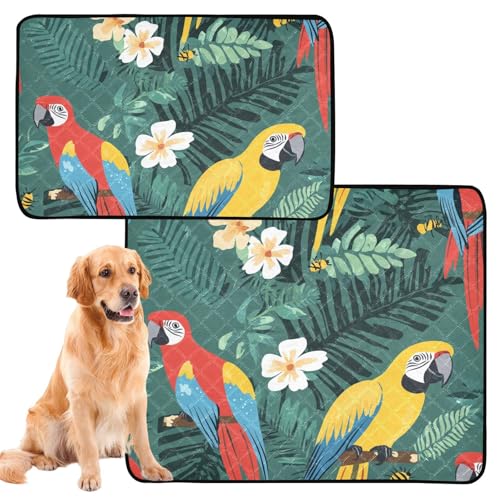 Hundematten für den Innenbereich, waschbar, rutschfest, für Strand, 61 x 91,4 cm + 91,4 x 106,7 cm, tropische Papageien, bunt, 2 Stück Hundematten für den Innenbereich, waschbar, rutschfest, für Strand, 61 x 91,4 cm + 91,4 x 106,7 cm, tropische Papageien, bunt, 2 Stück von aidingzhi