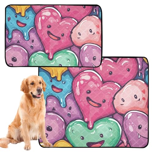 Katzen-Haustiermatte, groß, waschbar, Urinierunterlagen für Hunde, rutschfest, 61 x 91,4 cm + 91,4 x 106,7 cm, bunte Herzen, 2 Stück Katzen-Haustiermatte, groß, waschbar, Urinierunterlagen für Hunde, rutschfest, 61 x 91,4 cm + 91,4 x 106,7 cm, bunte Herzen, 2 Stück von aidingzhi