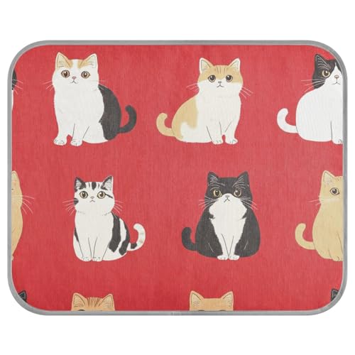 Süße exotische Kurzhaar-Katzen-Kühlmatte, für den Außenbereich, kühlendes Hundebett für Hühner, Reisen, wasserdicht, 56 x 70 cm, Rot Süße exotische Kurzhaar-Katzen-Kühlmatte, für den Außenbereich, kühlendes Hundebett für Hühner, Reisen, wasserdicht, 56 x 70 cm, Rot von aidingzhi