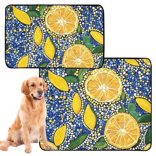 aidingzhi Katzen-Haustiermatte, schmutzige Matten für Hunde, waschbar, rutschfest, 61 x 91,4 cm + 91,4 x 106,7 cm, Zitronen, trendiger Stil, 2 Stück aidingzhi Katzen-Haustiermatte, schmutzige Matten für Hunde, waschbar, rutschfest, 61 x 91,4 cm + 91,4 x 106,7 cm, Zitronen, trendiger Stil, 2 Stück von aidingzhi