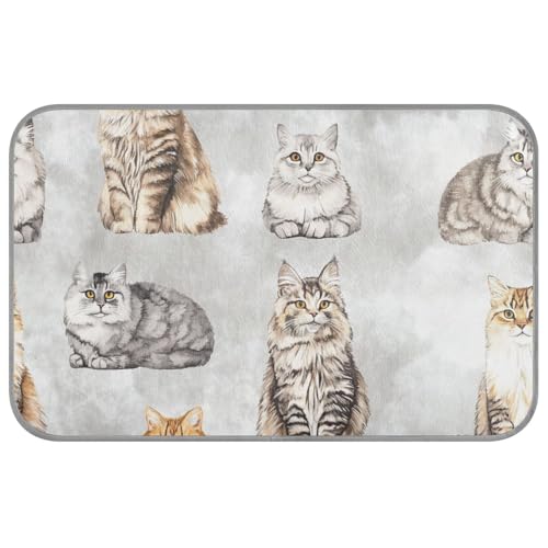 aidingzhi Kühldecke mit Cartoon-Katzen, silberfarben, für Indoor-Katzen, für Kaninchen, Outdoor, tragbar, 60 x 97 cm von aidingzhi