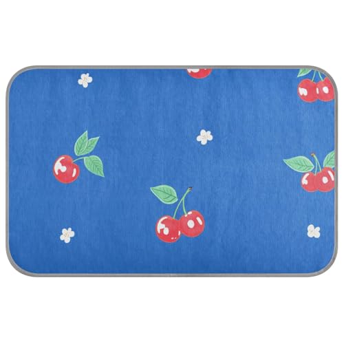 aidingzhi Kühlendes Katzenbett für den Sommer, kühlendes Katzenbett für den Innenbereich, für Kaninchen, gemütliches Schlafen, 60 x 97 cm, Königsblau von aidingzhi