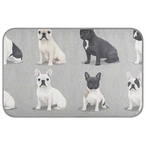 aidingzhi Kühlmatte für Katzen, realistischer Stil, süße französische Bulldoggen, Grau, kühlende Outdoor-Katzenmatte für Hunde, gemütlicher Schlaf, Sommer, 60 x 97 cm aidingzhi Kühlmatte für Katzen, realistischer Stil, süße französische Bulldoggen, Grau, kühlende Outdoor-Katzenmatte für Hunde, gemütlicher Schlaf, Sommer, 60 x 97 cm von aidingzhi