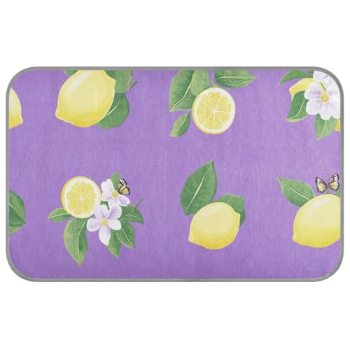 aidingzhi Kühlmatte für den Außenbereich, Zitronenfrucht, Katzenbett für Kaninchen, einzigartig, 60 x 97 cm, Violett von aidingzhi