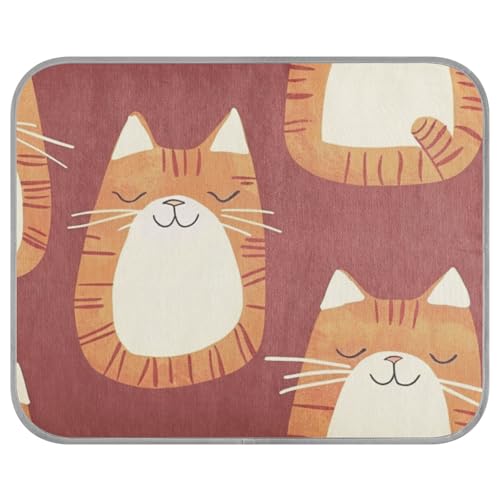 aidingzhi Orange große Katze Minimalismus Decken für mittelgroße Hunde waschbar kühlende Haustiermatte für Kaninchen innen weich 56 × 27,15 cm von aidingzhi