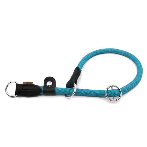 Aiminto Geflochtenes Seilhalsband, Trainings-Hundehalsband, rundes Martingalhalsband, Schlupfhalsband mit verstellbarem Stopper und verschiebbarem Stoppring, ideal für extra große Hunde (XL (1,27 cm) Aiminto Geflochtenes Seilhalsband, Trainings-Hundehalsband, rundes Martingalhalsband, Schlupfhalsband mit verstellbarem Stopper und verschiebbarem Stoppring, ideal für extra große Hunde (XL (1,27 cm) von aiminto
