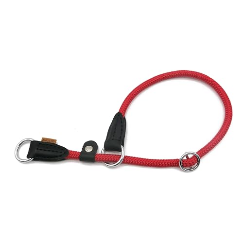 Aiminto Geflochtenes Seilhalsband, Trainingshundehalsband, rundes Martingalhalsband, Schlupfhalsband mit verstellbarem Stopper und verschiebbarem Stoppring, ideal für mittelgroße Hunde (M (1/3 Zoll) – Aiminto Geflochtenes Seilhalsband, Trainingshundehalsband, rundes Martingalhalsband, Schlupfhalsband mit verstellbarem Stopper und verschiebbarem Stoppring, ideal für mittelgroße Hunde (M (1/3 Zoll) – von aiminto