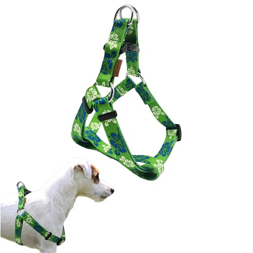 Aiminto Hochwertiges, verstellbares Hundegeschirr, weiches Neopren, gepolstert, zum Einstiefen, einfaches Gehen, ultra-bequem, S-5/20.3x33.3 cm 0 cm,1 8) von aiminto