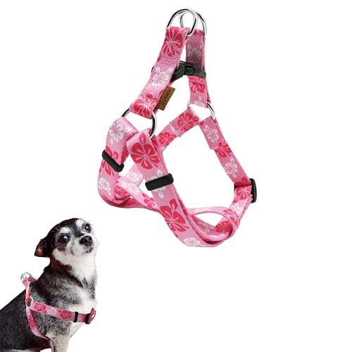 Aiminto Hundehalfter, süßes Blumenmuster, weich und verstellbar, zum Einsteigen, Anti-Würgen – perfekt zum Spazierengehen (Rosa), XS (Brust 27,9–45,7 cm) von aiminto