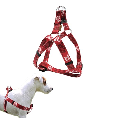 Aiminto Hundehalfter, süßes Blumenmuster, weich und verstellbar, zum Einsteigen, Anti-Würgen – perfekt zum Spazierengehen (rot), Größe S (Brust 33–55,9 cm) von aiminto