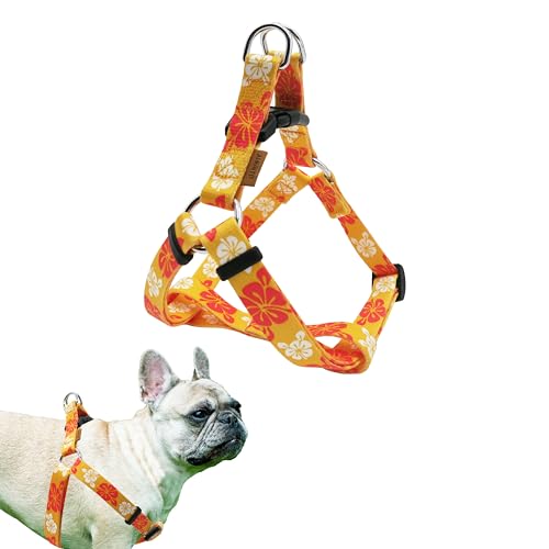 Aiminto Hundehalfter, süßes Blumenmuster, weiches und verstellbares Geschirr, zum Einsteigen, Anti-Würgen – perfekt zum Spazierengehen (Orange), Größe M (Brust 43,2–71,1 cm) von aiminto