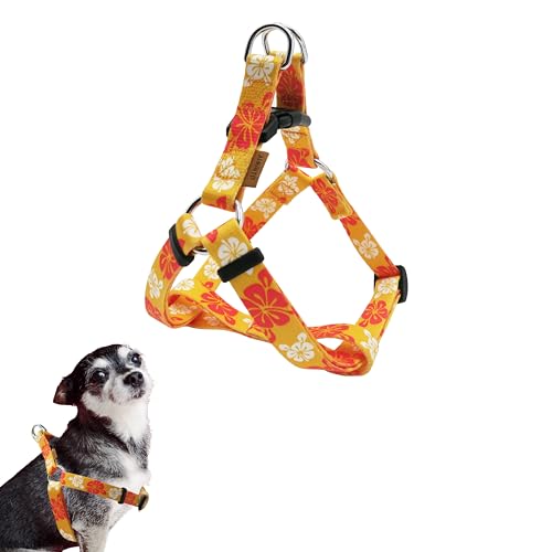Aiminto Hundehalfter, süßes Blumenmuster, weiches und verstellbares Geschirr, zum Einsteigen, Anti-Würgen – perfekt zum Spazierengehen (Orange), XS (Brust 27,9–45,7 cm) von aiminto