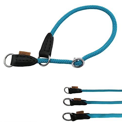 Aiminto Hundehalsband, Nylonseil Pro Training, kein Ziehen, rundes Martingalhalsband, Rutschhalsband mit verschiebbarem Stoppring - ideal für kleine Hunde (S (1/4 Zoll) - 35,6 cm lang, Hellblau) von aiminto