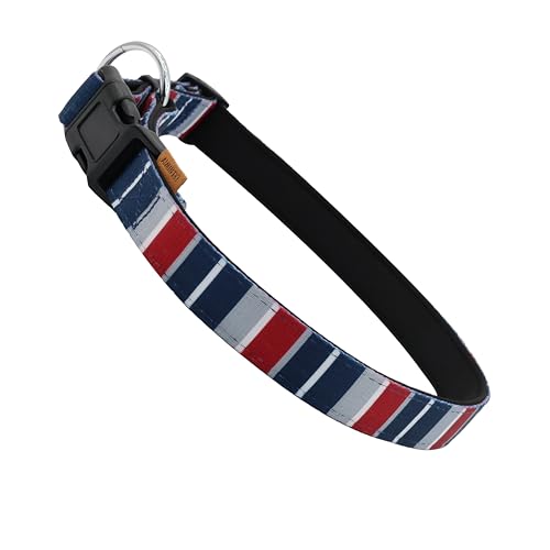 Aiminto Hundehalsband, niedliches Multi-Streifenmuster, Neopren-gepolstertes und verstellbares Halsband mit Schnellverschluss-Schnalle, Verstärkte Struktur (L (46-70 cm x 2.5 cm), Regenbogen Blau) von aiminto
