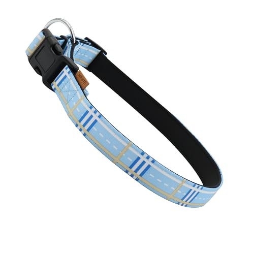 Aiminto Hundehalsband, niedliches Streifenmuster, Neopren, gepolstertes und verstellbares Halsband mit Schnellverschluss-Schnalle, Verstärkte Struktur (L (46-70 cm x 2.5 cm), Blau gestreift) von aiminto