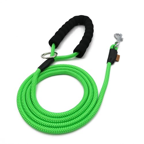 Aiminto Dog Leash, Braided Rope Traction – Walking Training Lead for Small Dogs ((1/3") - 6FT, Light Green) von aiminto