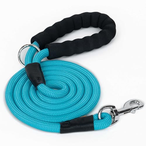 Aiminto Hundeleine, geflochtenes Seil Traktion, Walking-Trainingsleine für mittelgroße Hunde (1,27 cm) - 1,8 m, hellblau von aiminto