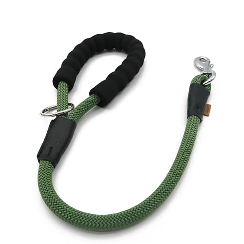 Aiminto Hundeleine, geflochtenes Seil Traktion, Walking-Trainingsleine für mittelgroße Hunde (1,27 cm) – 70 cm, Dunkelgrün von aiminto