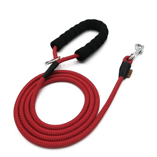 Aiminto Hundeleine, geflochtenes Seil Traktion - Walking Trainingsleine für kleine Hunde (1/3 Zoll) - 6FT, Rot) von aiminto