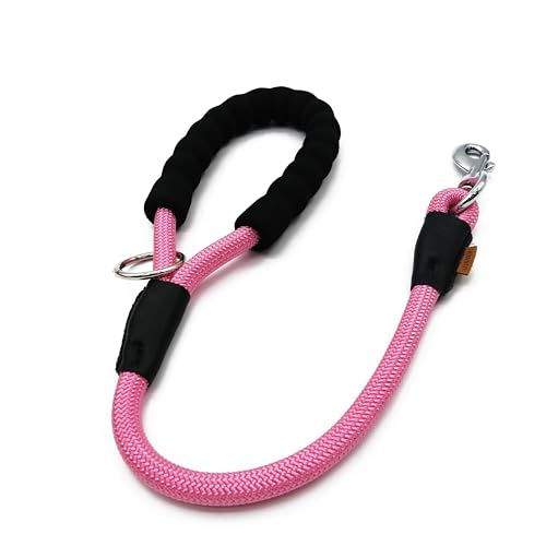 Aiminto Hundeleine, geflochtenes Seil Traktion - Walking Trainingsleine für mittelgroße Hunde (1/2 Zoll) - 2FT, Rosa) von aiminto