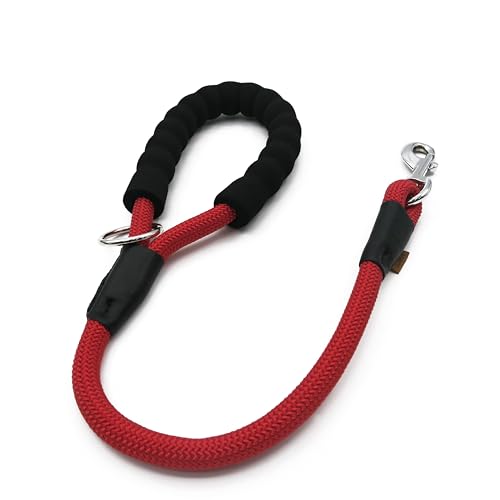 Aiminto Hundeleine, geflochtenes Seil Traktion - Walking Trainingsleine für mittelgroße Hunde (1/2 Zoll) - 2FT, Rot) von aiminto
