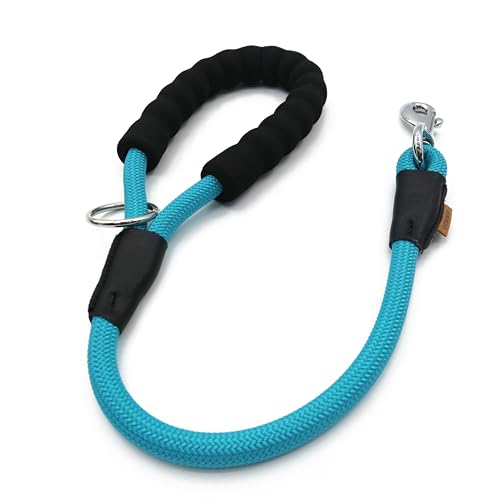 Aiminto Hundeleine, geflochtenes Seil Traktion - Walking Trainingsleine für mittelgroße Hunde (1/2 Zoll) - 2FT, hellblau von aiminto