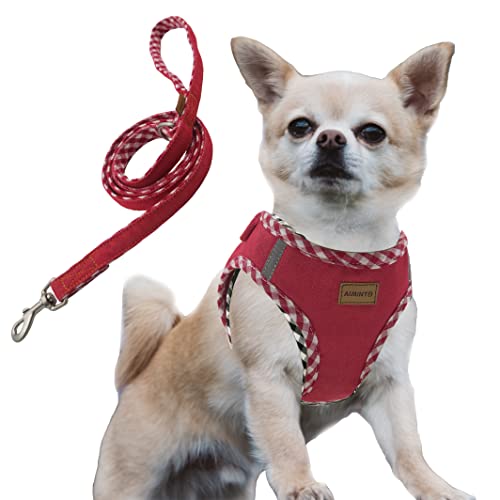 Aiminto Premium Denim-Hundegeschirr und Leine, zum Einsteigen, atmungsaktives Netz, leicht, reflektierendes Westengeschirr – für Katzen und extra kleine Hunde (Rot, XXS) von aiminto