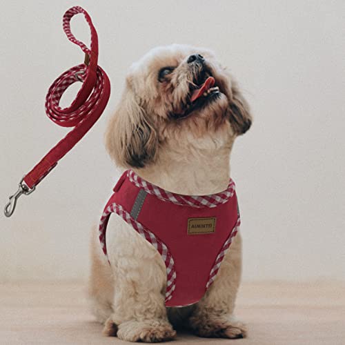 Aiminto Premium Denim Hundegeschirr und Leine Set, Step In, atmungsaktives Mesh, leicht, reflektierende Weste Geschirr - für kleine Hunde (Rot, S) von aiminto