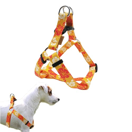Aiminto Verstellbares Hundegeschirr, weiches Neopren, gepolstert, zum Hineinsteigen, einfaches Gehen, kein Ziehen, für kleine/mittelgroße/große Rassen (Regenbogen-Orange, S-5/8x13-18 Zoll) von aiminto