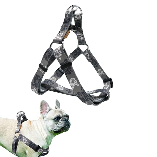 Aiminto Verstellbares Hundegeschirr, weiches Neopren, gepolstert, zum Hineinsteigen, einfaches Gehen, kein Ziehen, für kleine/mittelgroße und große Rassen (Regenbogenblau, M-3/4x43-61 cm) von aiminto