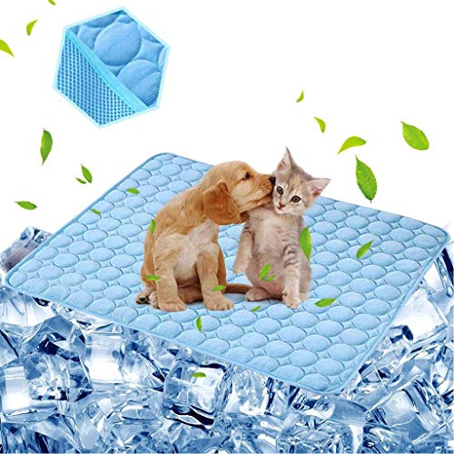 aingycy Hunde-Kühlmatte für Haustiere, Kühlkissen für Hunde und Katzen, Haustier-Kühldecke für Outdoor-Autositze, Betten (55,9 x 71,1 cm) von aingycy