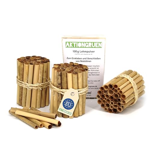Reparaturset - Schilfröhrchen für Insektenhotels mit Lehmpulver, Länge 8 cm, Durchmesser 3-10 mm, ca. 100 Stück, Röhrchen aus der EU! von aktiongruen