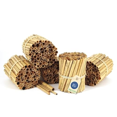 Schilfröhrchen für Insektenhotels, Länge 10 cm, Durchmesser 3-10 mm, ca. 100 oder 400 Stück, Röhrchen aus der EU! (Natur, ca. 400 Stück) von aktiongruen