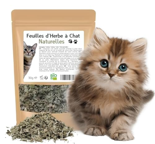 al badil Catnip Katzenminzeblätter – luftdichter Beutel – Bringen Sie Ihrer Katze Freude und Entspannung mit unserem Premium Catnip al badil Catnip Katzenminzeblätter – luftdichter Beutel – Bringen Sie Ihrer Katze Freude und Entspannung mit unserem Premium Catnip von al badil