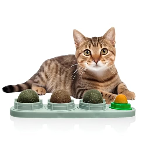 al badil Set mit 4 rotierenden Katzenminzkugeln | Natürliches und essbares Spielzeug | Entspannung, Hygiene und endloser Spaß al badil Set mit 4 rotierenden Katzenminzkugeln | Natürliches und essbares Spielzeug | Entspannung, Hygiene und endloser Spaß von al badil