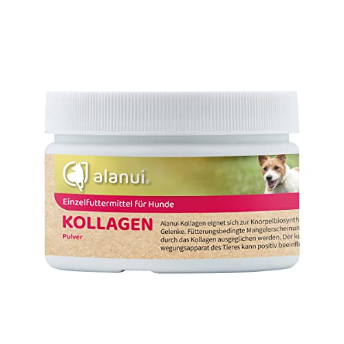 alanui Kollagen Hydrolysat (PETAGILE® SP) für Hunde, 100 g Dose von alanui